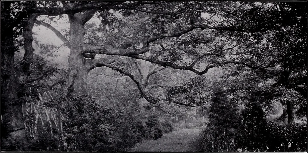 An illustration from Current architecture: published in connection with a joint exibition [sic] held in Boston November 1916, 1916, leaf 78