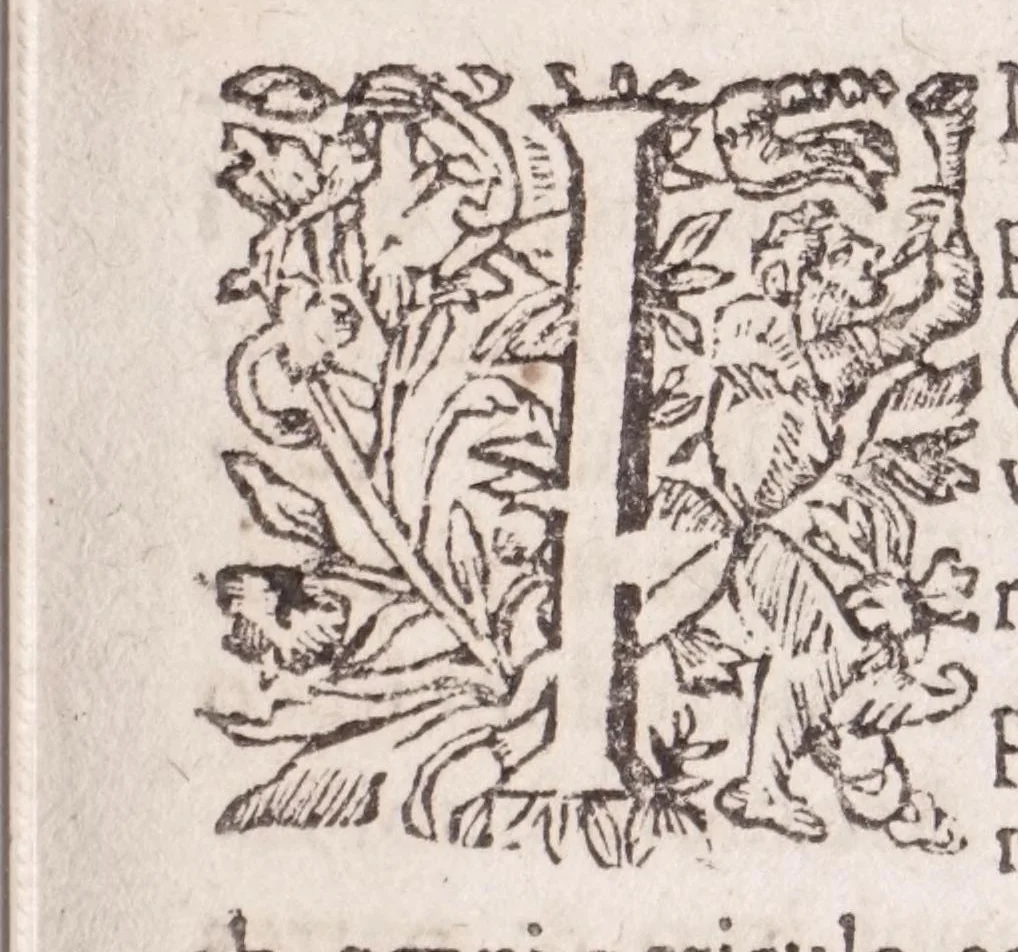 An illustration from Currus triumphalis antimonii fratris Basilii Valentini Monachi Benedictini : opus antiquioris medicinae & philosophiae hermeticae studiosis dicatum, 1646, leaf 17