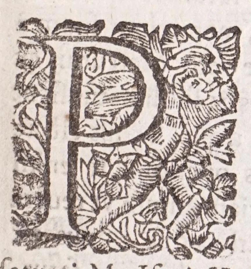 An illustration from Currus triumphalis antimonii fratris Basilii Valentini Monachi Benedictini : opus antiquioris medicinae & philosophiae hermeticae studiosis dicatum, 1646, leaf 229