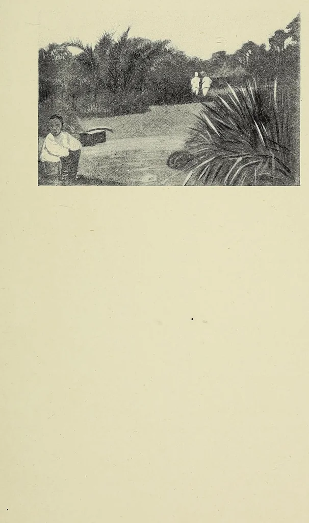 An illustration from The curse of Central Africa, 1903, leaf 147