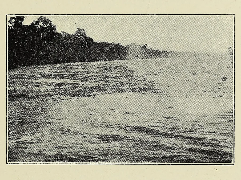 An illustration from The curse of Central Africa, 1903, leaf 167