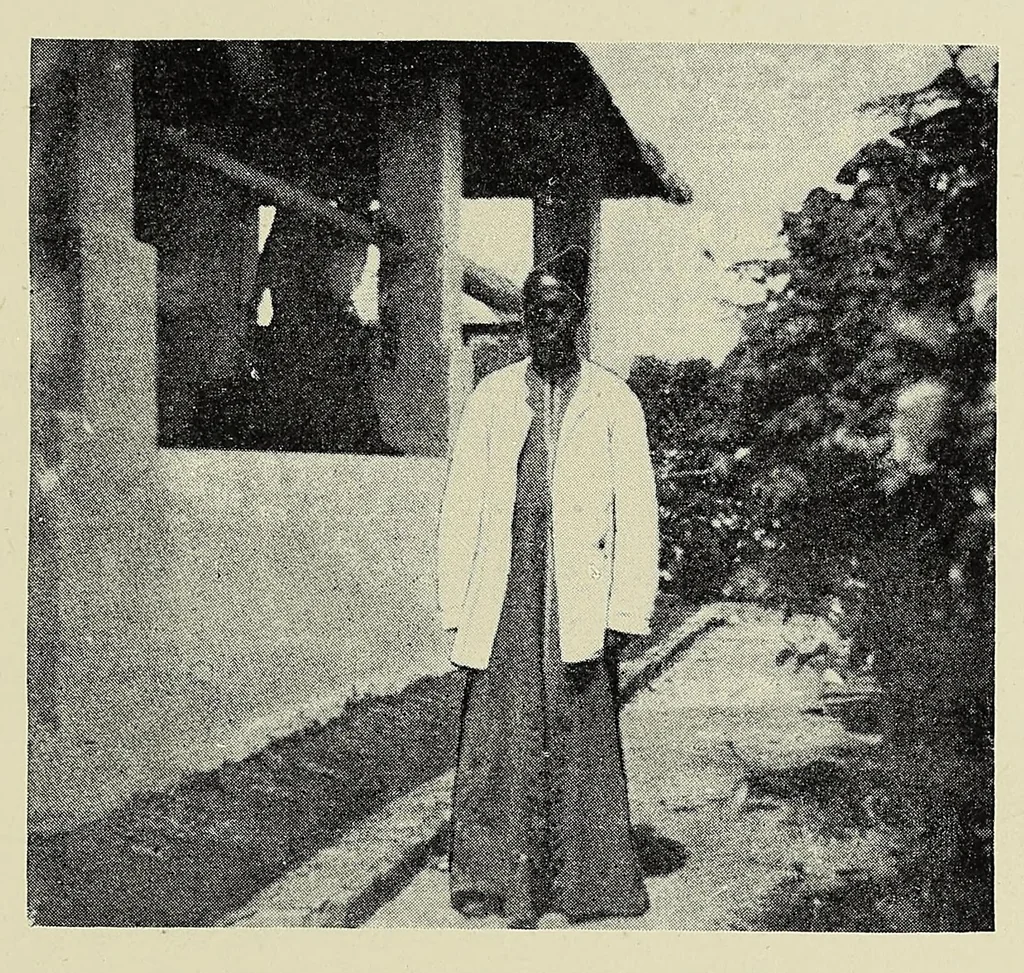 An illustration from The curse of Central Africa, 1903, leaf 203