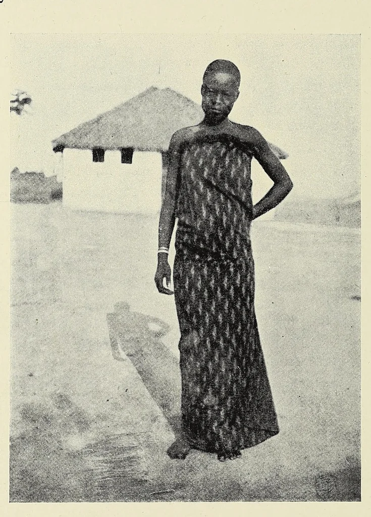 An illustration from The curse of Central Africa, 1903, leaf 224