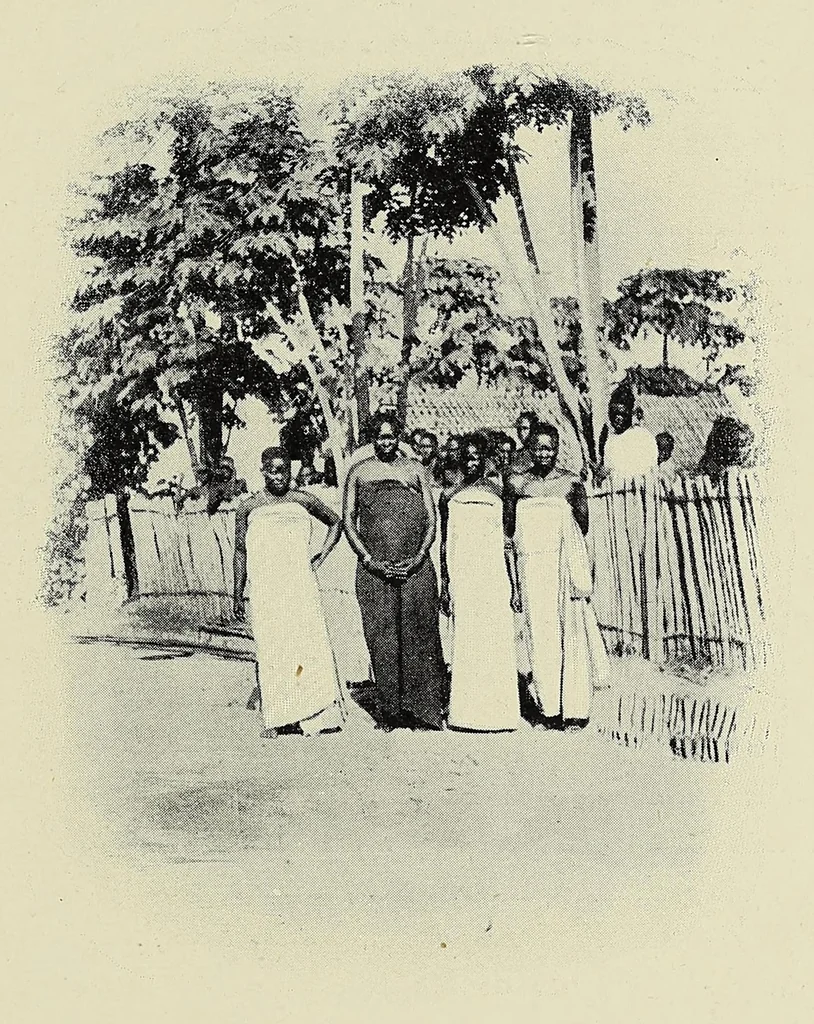 An illustration from The curse of Central Africa, 1903, leaf 267