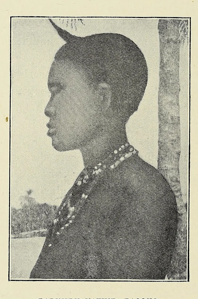 An illustration from The curse of Central Africa, 1903, leaf 290