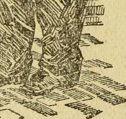 An illustration from The curse of tramp life, 1912, leaf 40