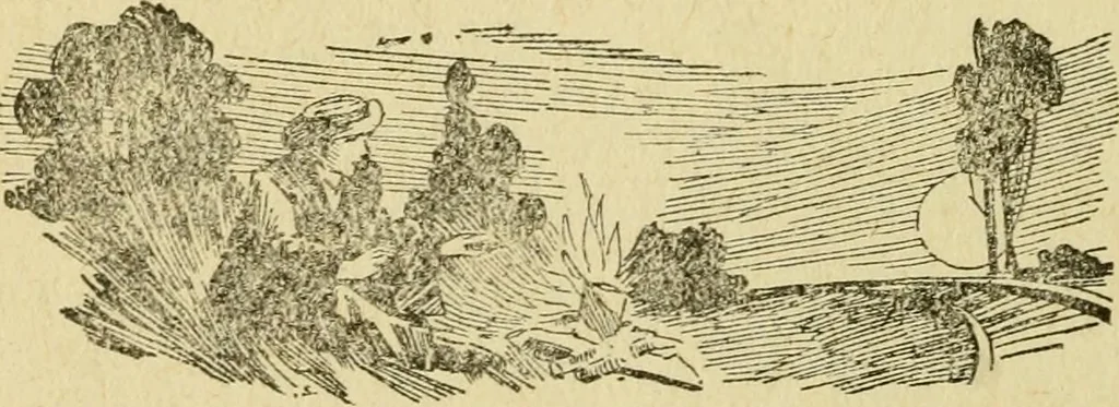 An illustration from The curse of tramp life, 1912, leaf 53