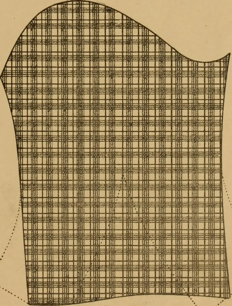 An illustration from The cutters' practical guide to the cutting of ladies' garments.., 1890, leaf 85