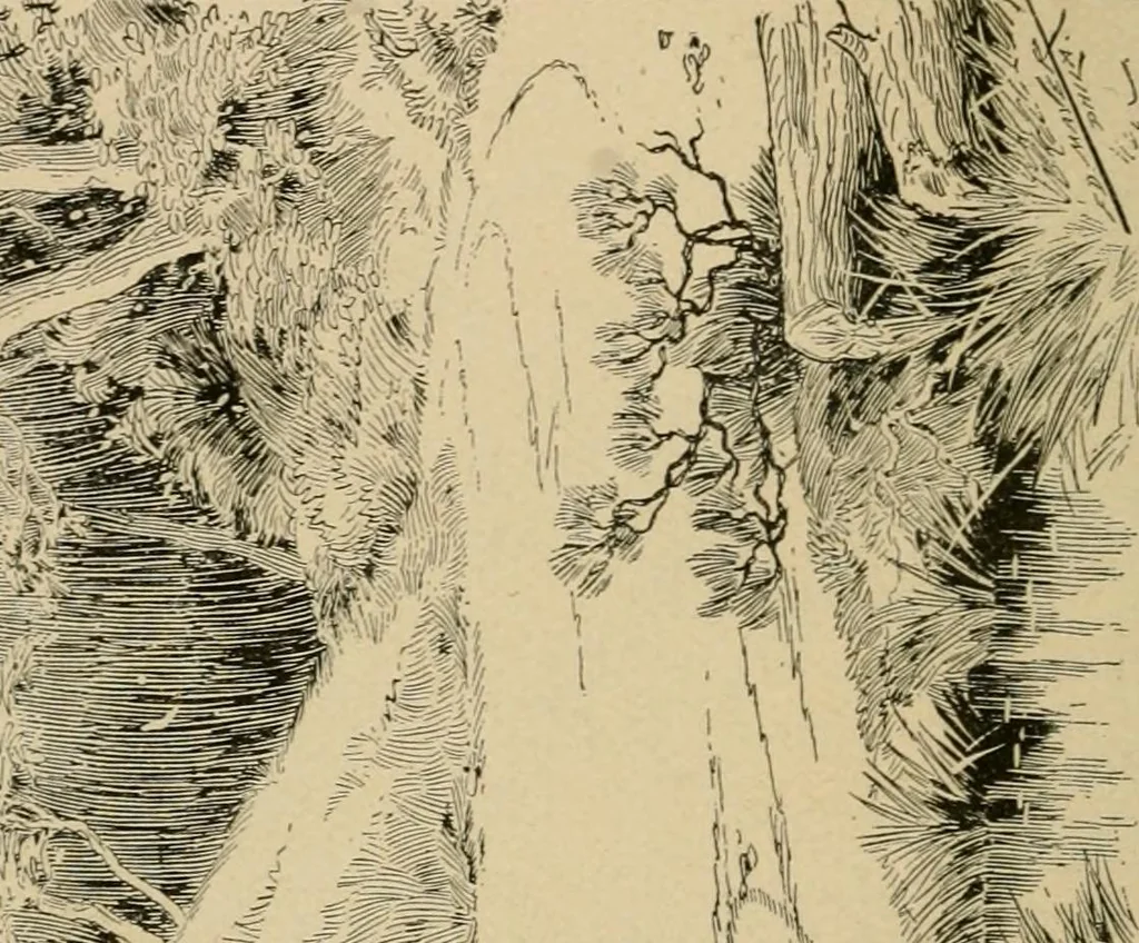 An illustration from Cycling art, energy and locomotion: a series of remarks on the development of bicycles, tricycles, and man-motor carriages, 1889, leaf 306