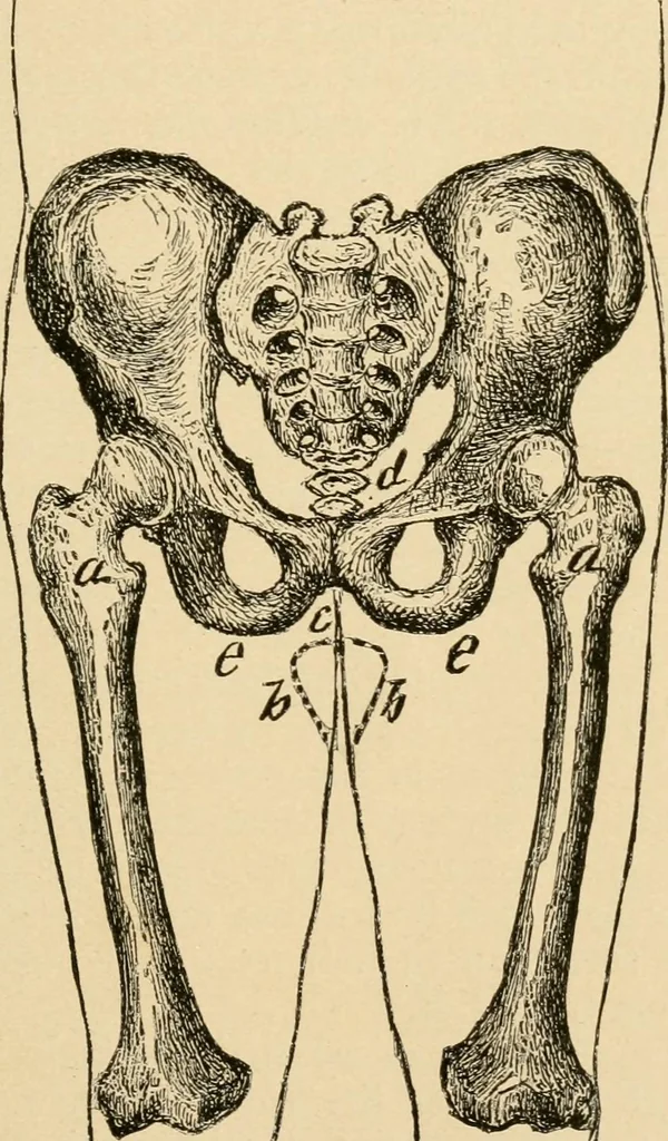 An illustration from Cycling art, energy and locomotion: a series of remarks on the development of bicycles, tricycles, and man-motor carriages, 1889, leaf 99