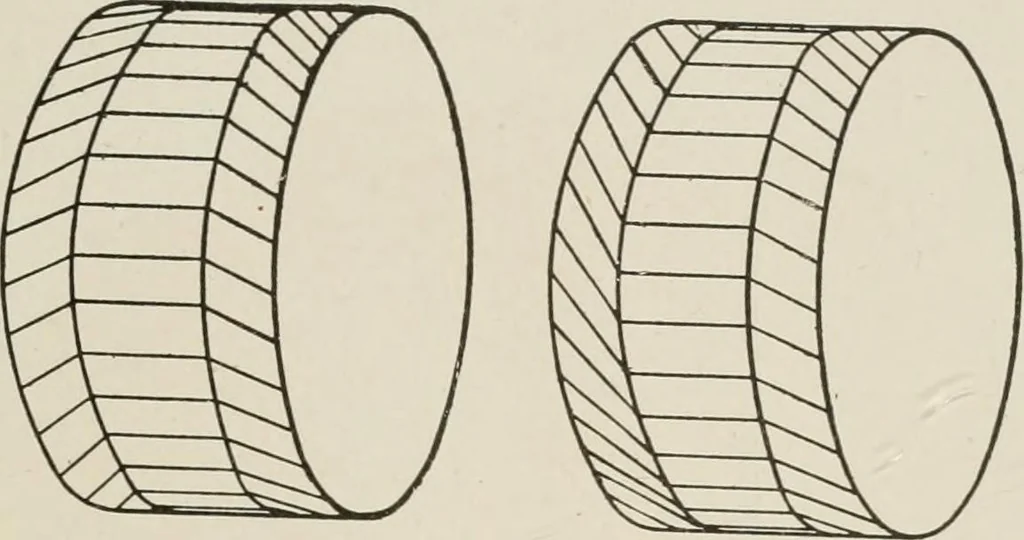 An illustration from Cyclopedia of applied electricity : a general reference work on direct-current generators and motors, storage batteries, electrochemistry, welding, electric wiring, meters, electric lighting, electric railways, power stations, switchboards, power transmission, alternating-current machinery, telegraphy, etc., 1916, leaf 217