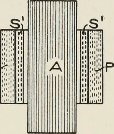 An illustration from Cyclopedia of applied electricity : a general reference work on direct-current generators and motors, storage batteries, electrochemistry, welding, electric wiring, meters, electric lighting, electric railways, power stations, switchboards, power transmission, alternating-current machinery, telegraphy, etc., 1916, leaf 305