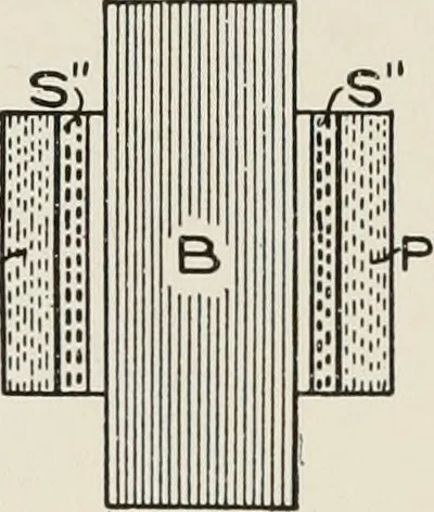 An illustration from Cyclopedia of applied electricity : a general reference work on direct-current generators and motors, storage batteries, electrochemistry, welding, electric wiring, meters, electric lighting, electric railways, power stations, switchboards, power transmission, alternating-current machinery, telegraphy, etc., 1916, leaf 305