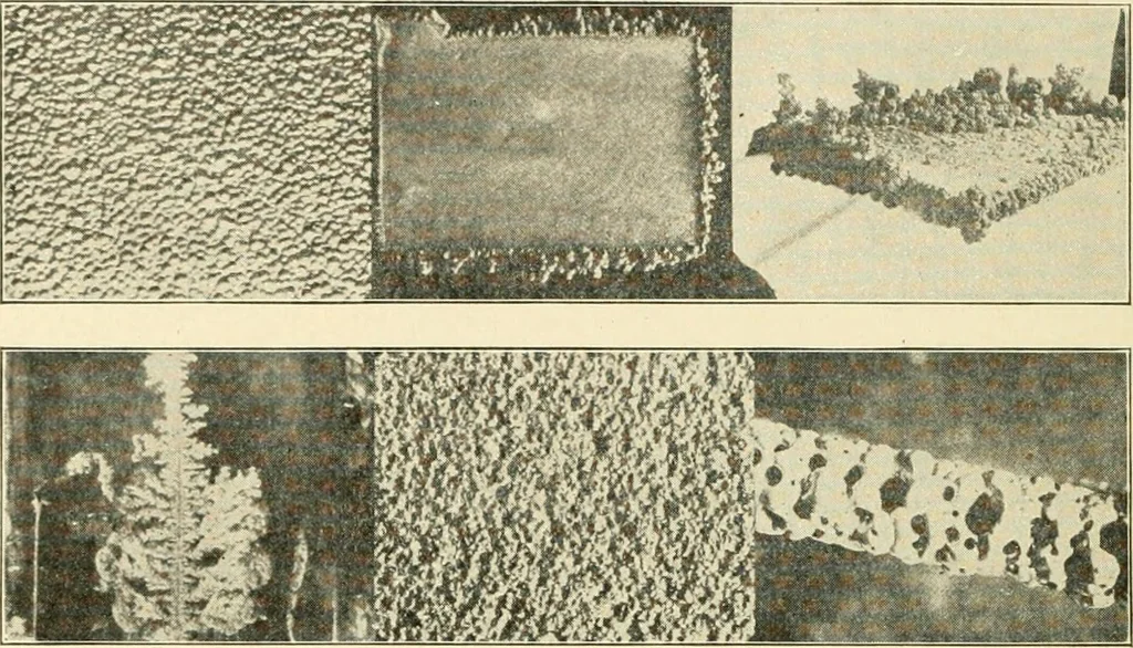 An illustration from Cyclopedia of applied electricity : a general reference work on direct-current generators and motors, storage batteries, electrochemistry, welding, electric wiring, meters, electric lighting, electric railways, power stations, switchboards, power transmission, alternating-current machinery, telegraphy, etc., 1916, leaf 363