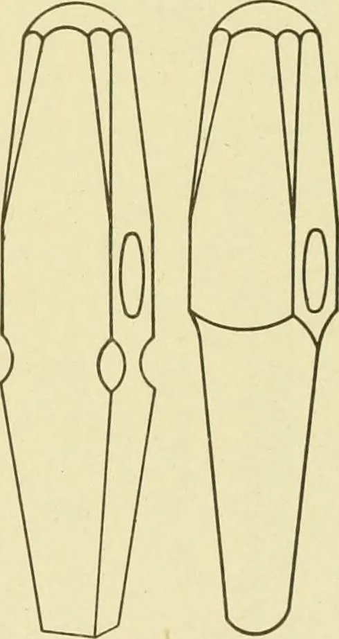 An illustration from Cyclopedia of applied electricity : a general reference work on direct-current generators and motors, storage batteries, electrochemistry, welding, electric wiring, meters, electric lighting, electric railways, power stations, switchboards, power transmission, alternating-current machinery, telegraphy, etc., 1916, leaf 348