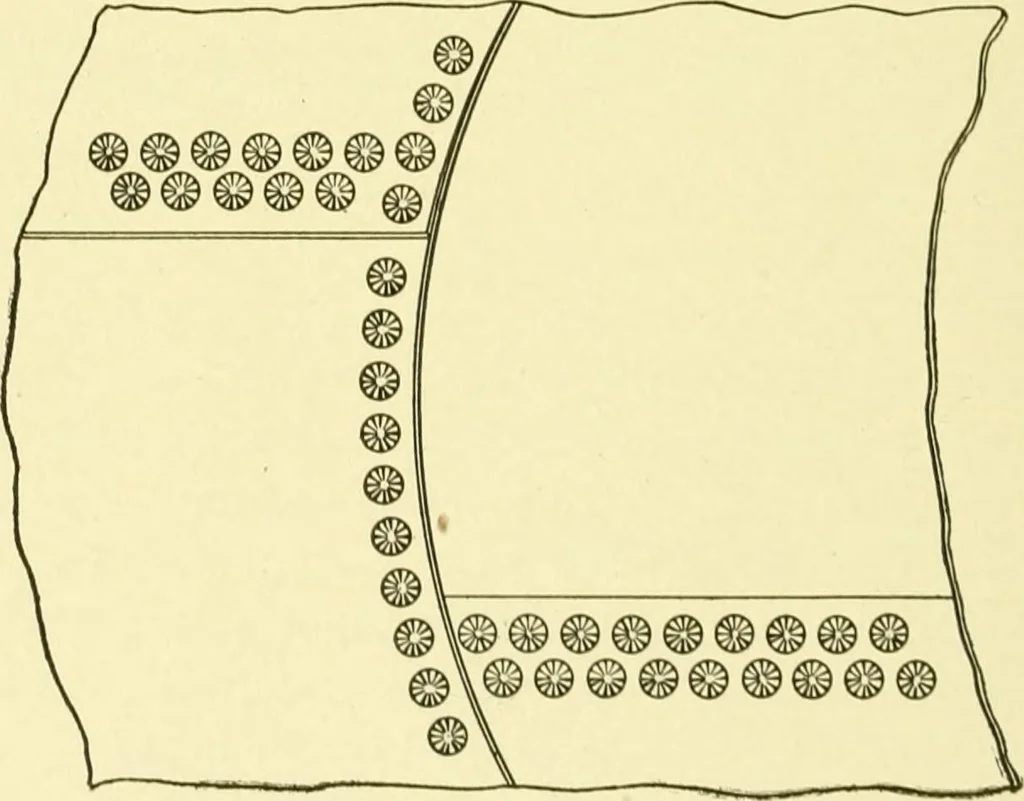 An illustration from Cyclopedia of applied electricity : a general reference work on direct-current generators and motors, storage batteries, electrochemistry, welding, electric wiring, meters, electric lighting, electric railways, power stations, switchboards, power transmission, alternating-current machinery, telegraphy, etc., 1916, leaf 363