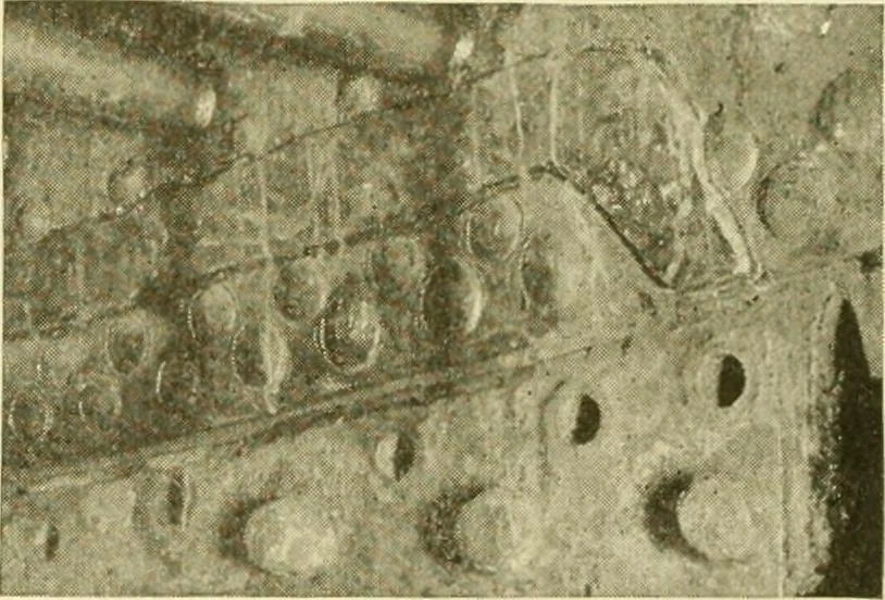 An illustration from Cyclopedia of applied electricity : a general reference work on direct-current generators and motors, storage batteries, electrochemistry, welding, electric wiring, meters, electric lighting, electric railways, power stations, switchboards, power transmission, alternating-current machinery, telegraphy, etc., 1916, leaf 392