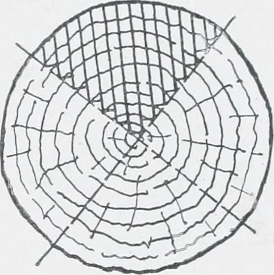 An illustration from Cyclopedia of architecture, carpentry, and building : a general reference work, 1912, leaf 125