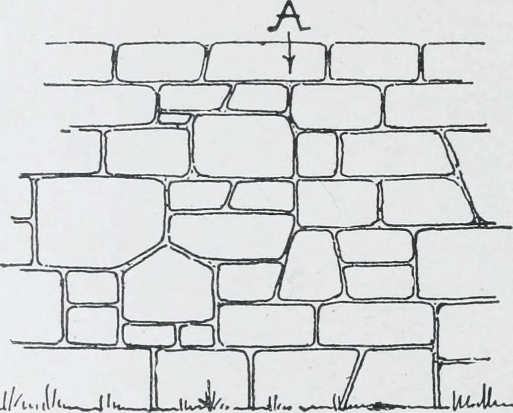 An illustration from Cyclopedia of architecture, carpentry, and building : a general reference work, 1912, leaf 46
