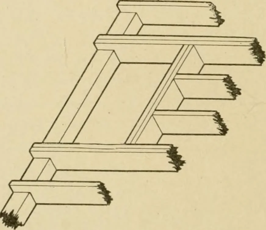 An illustration from Cyclopedia of architecture, carpentry, and building : a general reference work ..., 1907, leaf 100