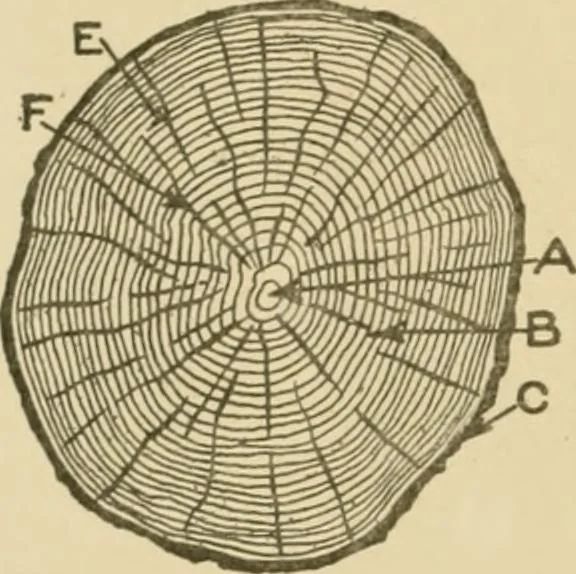 An illustration from Cyclopedia of architecture, carpentry, and building : a general reference work ..., 1907, leaf 22