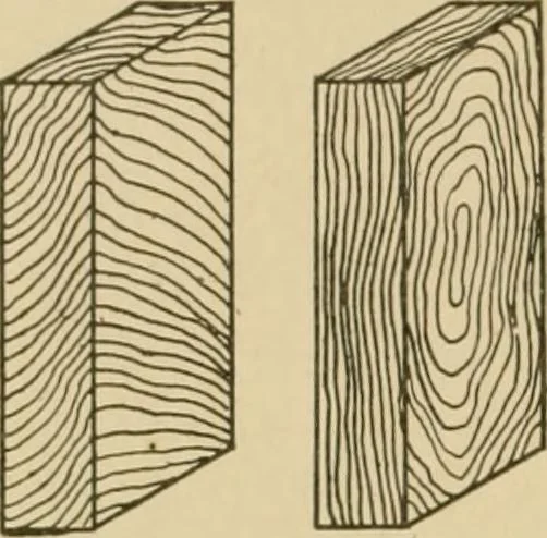 An illustration from Cyclopedia of architecture, carpentry, and building : a general reference work ..., 1907, leaf 24