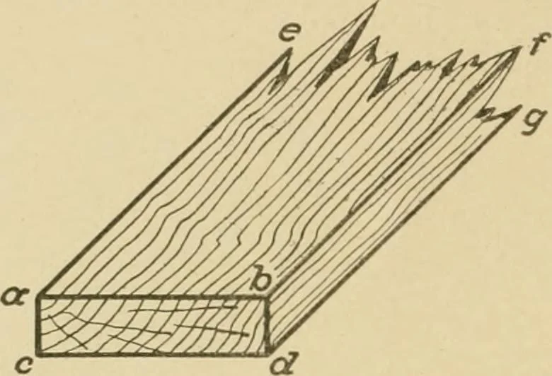 An illustration from Cyclopedia of architecture, carpentry, and building : a general reference work ..., 1907, leaf 26