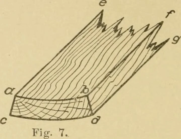 An illustration from Cyclopedia of architecture, carpentry, and building : a general reference work ..., 1907, leaf 26