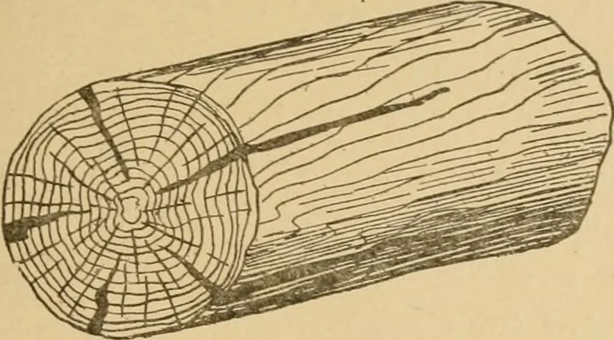 An illustration from Cyclopedia of architecture, carpentry, and building : a general reference work ..., 1907, leaf 27