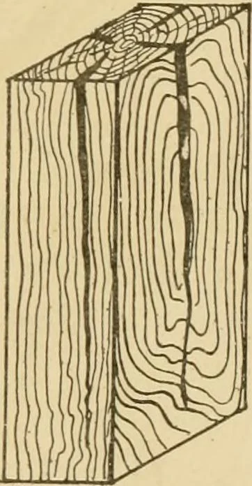 An illustration from Cyclopedia of architecture, carpentry, and building : a general reference work ..., 1907, leaf 27