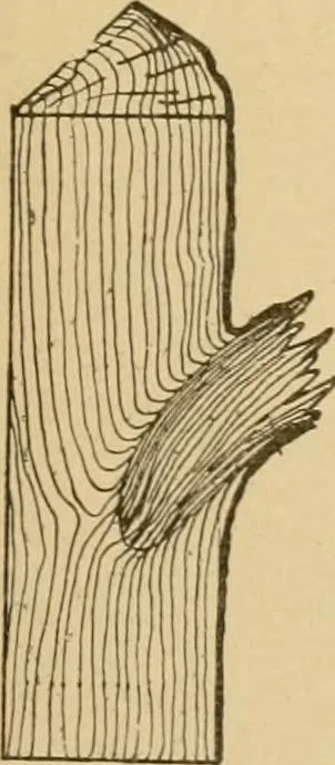 An illustration from Cyclopedia of architecture, carpentry, and building : a general reference work ..., 1907, leaf 27