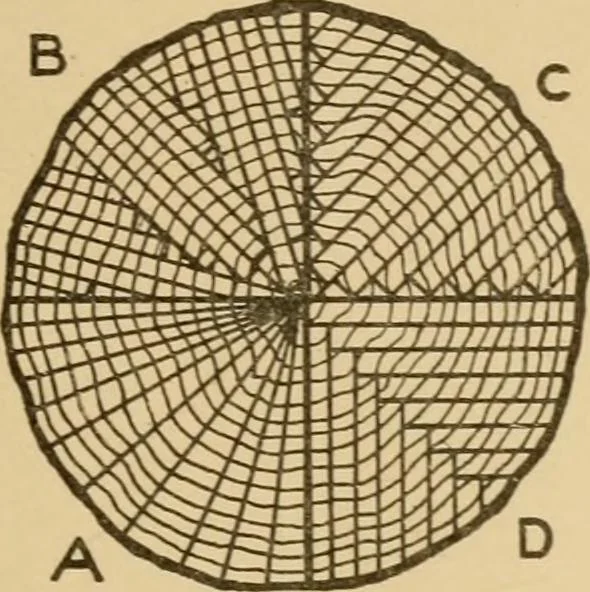 An illustration from Cyclopedia of architecture, carpentry, and building : a general reference work ..., 1907, leaf 29