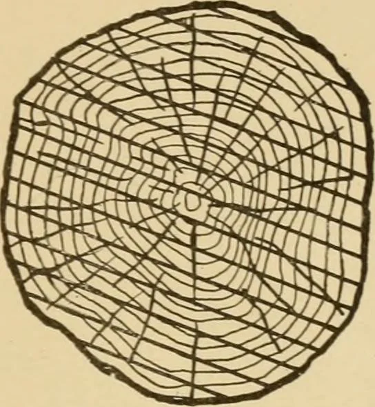 An illustration from Cyclopedia of architecture, carpentry, and building : a general reference work ..., 1907, leaf 29