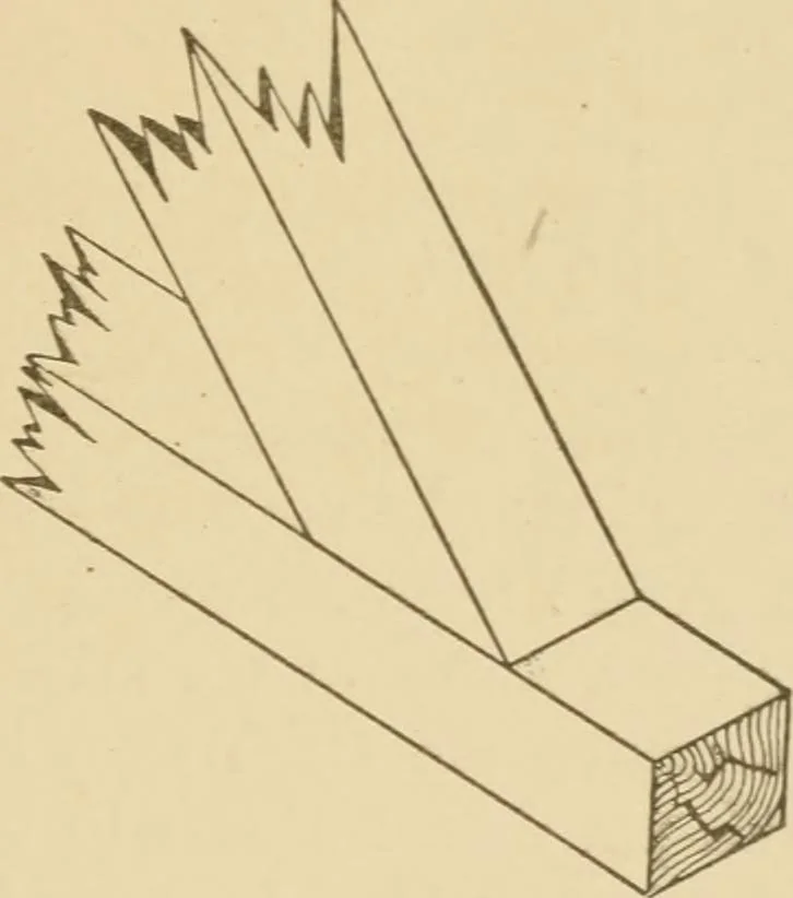 An illustration from Cyclopedia of architecture, carpentry, and building : a general reference work ..., 1907, leaf 49
