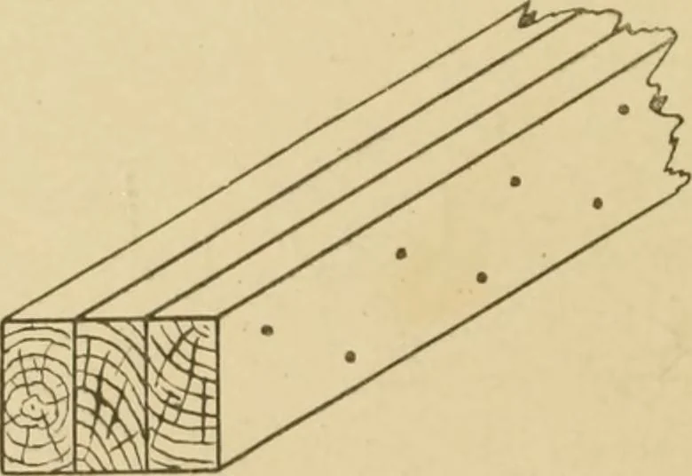 An illustration from Cyclopedia of architecture, carpentry, and building : a general reference work ..., 1907, leaf 68