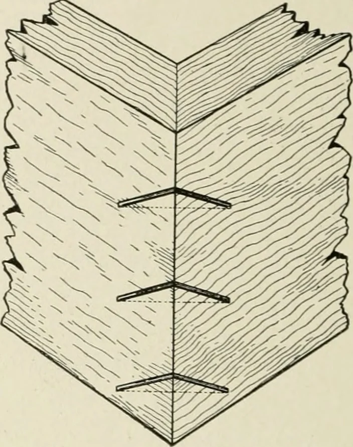 An illustration from Cyclopedia of architecture, carpentry, and building : a general reference work, 1912, leaf 103