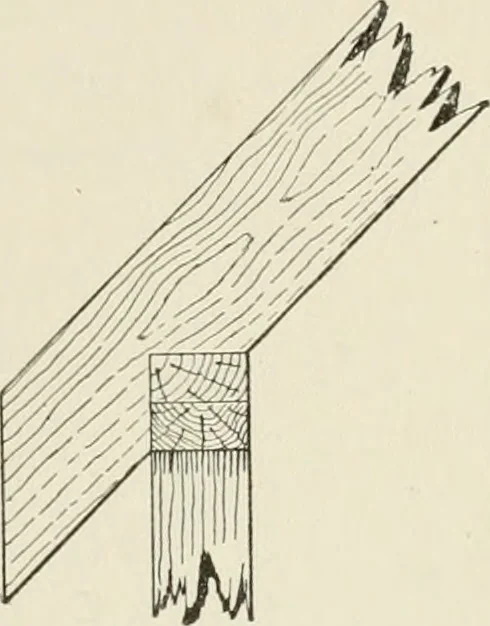 An illustration from Cyclopedia of architecture, carpentry, and building : a general reference work, 1912, leaf 122