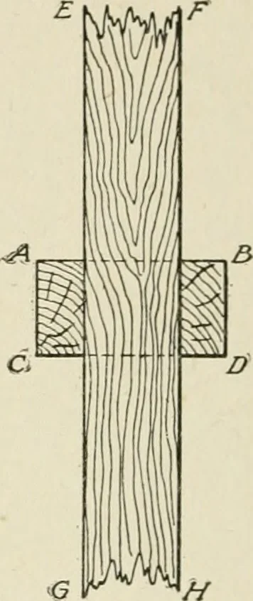 An illustration from Cyclopedia of architecture, carpentry, and building : a general reference work, 1912, leaf 203