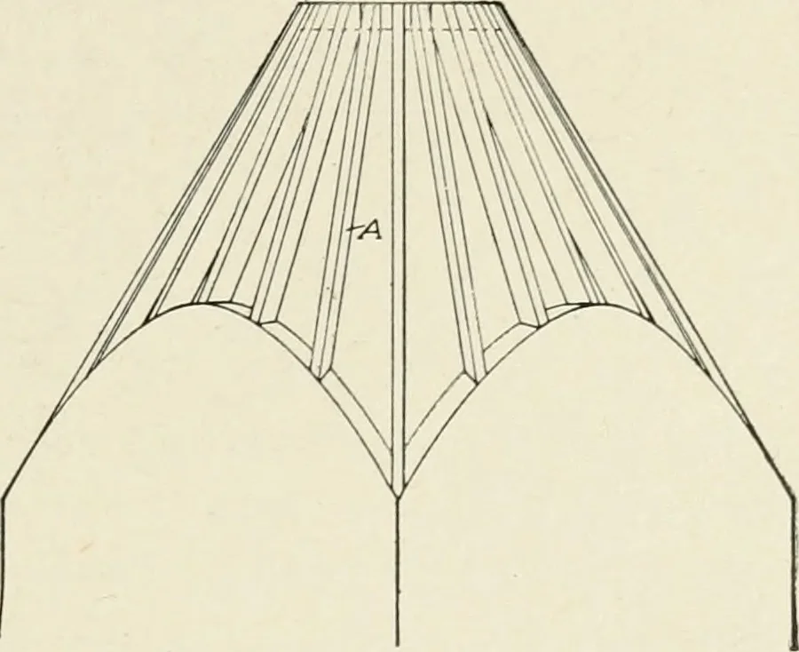 An illustration from Cyclopedia of architecture, carpentry, and building : a general reference work, 1912, leaf 248