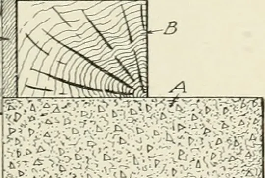 An illustration from Cyclopedia of architecture, carpentry, and building : a general reference work, 1912, leaf 258