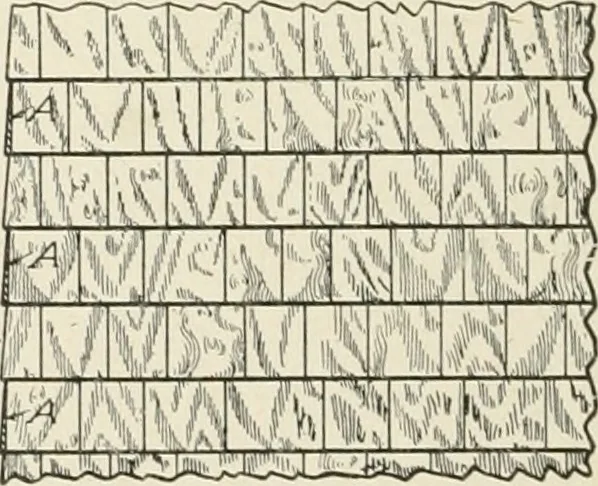 An illustration from Cyclopedia of architecture, carpentry, and building : a general reference work, 1912, leaf 261