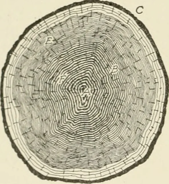 An illustration from Cyclopedia of architecture, carpentry, and building : a general reference work, 1912, leaf 27