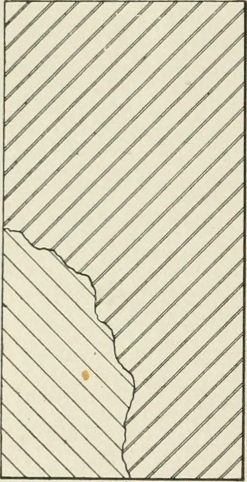 An illustration from Cyclopedia of architecture, carpentry, and building : a general reference work, 1912, leaf 315