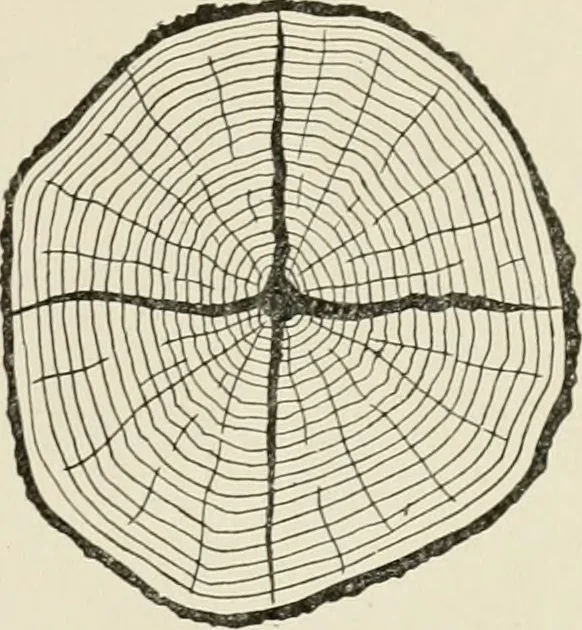 An illustration from Cyclopedia of architecture, carpentry, and building : a general reference work, 1912, leaf 32