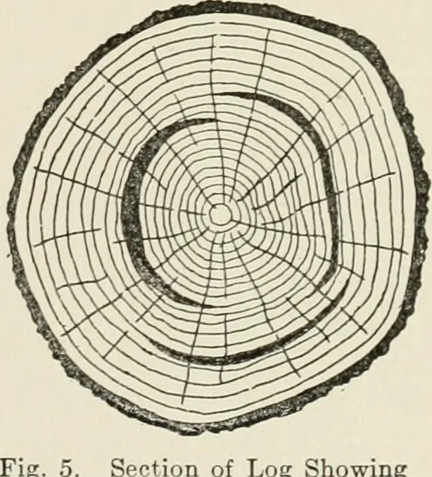An illustration from Cyclopedia of architecture, carpentry, and building : a general reference work, 1912, leaf 32