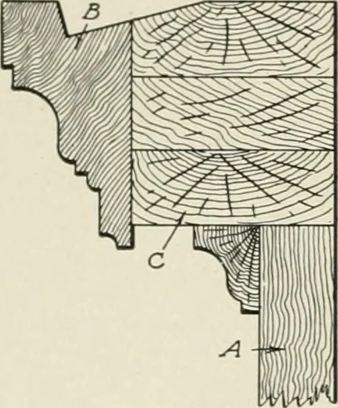 An illustration from Cyclopedia of architecture, carpentry, and building : a general reference work, 1912, leaf 321