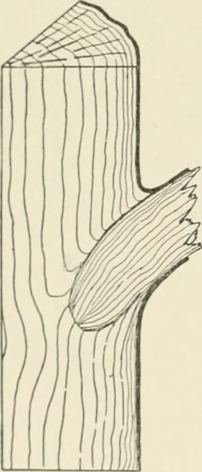 An illustration from Cyclopedia of architecture, carpentry, and building : a general reference work, 1912, leaf 35
