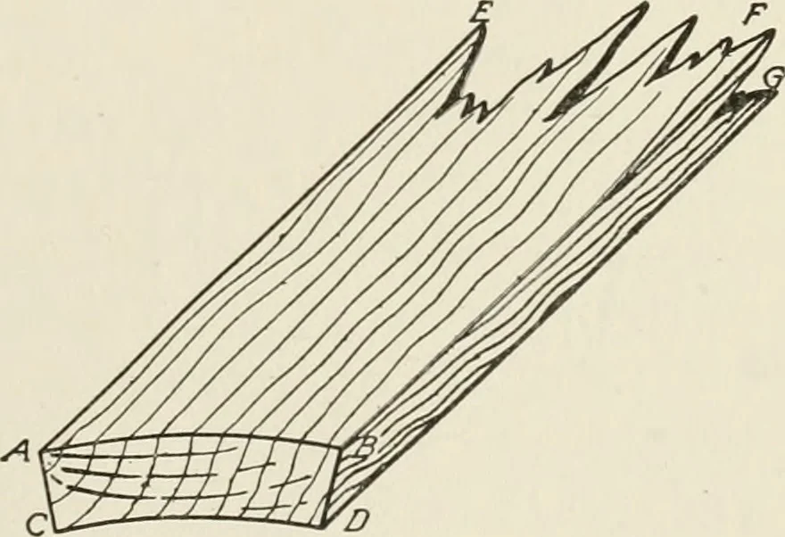 An illustration from Cyclopedia of architecture, carpentry, and building : a general reference work, 1912, leaf 36