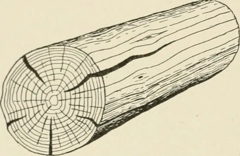 An illustration from Cyclopedia of architecture, carpentry, and building : a general reference work, 1912, leaf 37