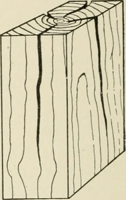 An illustration from Cyclopedia of architecture, carpentry, and building : a general reference work, 1912, leaf 37